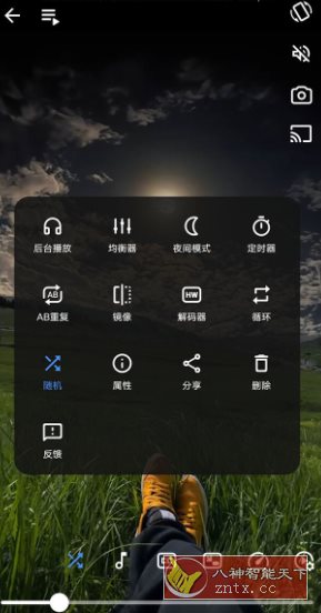zntx.cc_01